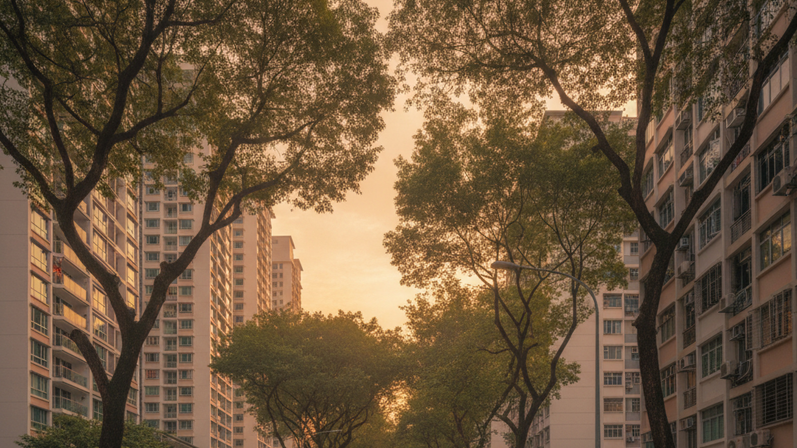 Best property agent Singapore: a quiet HDB and condominium residential street lined with rain trees at golden hour